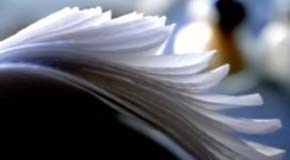 ¿Cómo armar un curriculum?